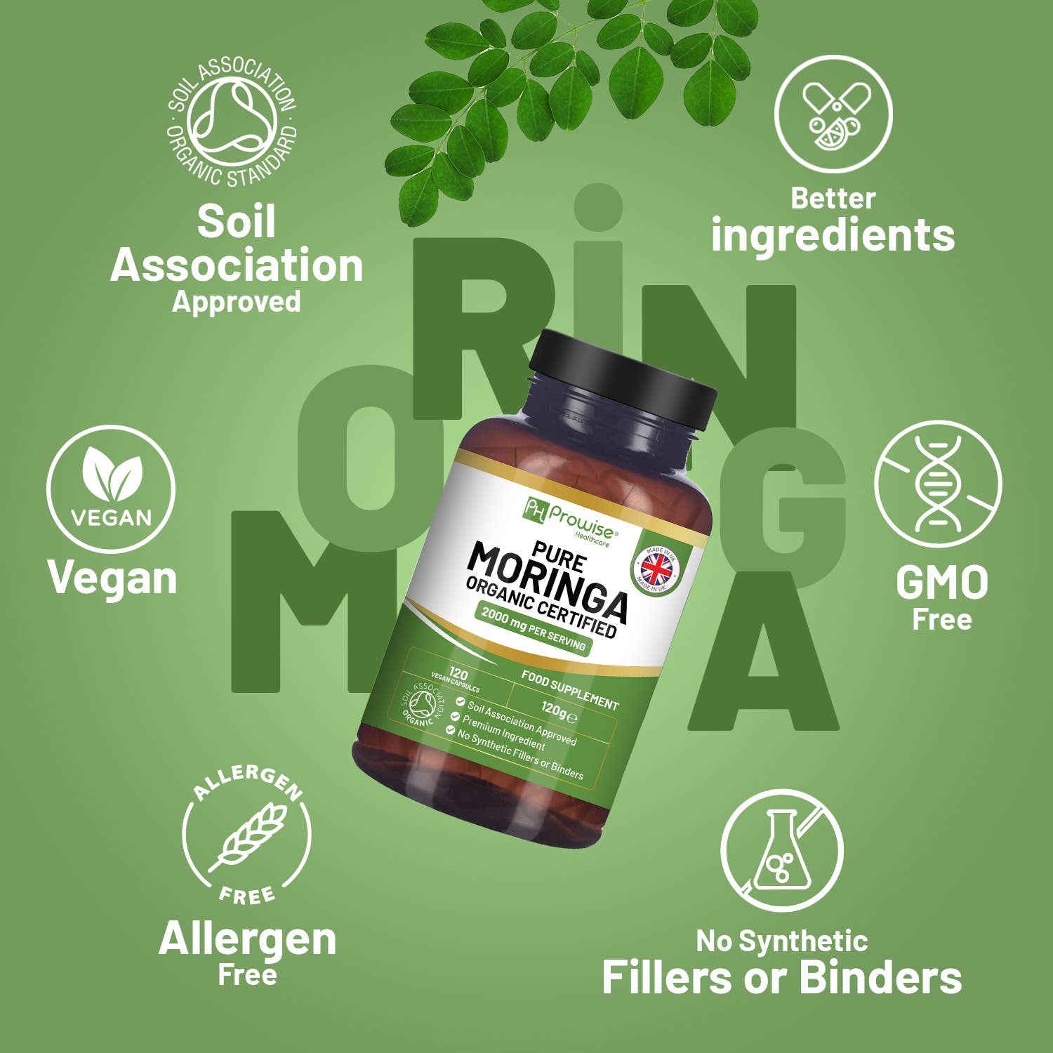 Prowise Healthcare – wholesale Oralt tillskott/Vitamin – Ekologiska Moringakapslar 2000 mg – 120 Veganska Moringablad3