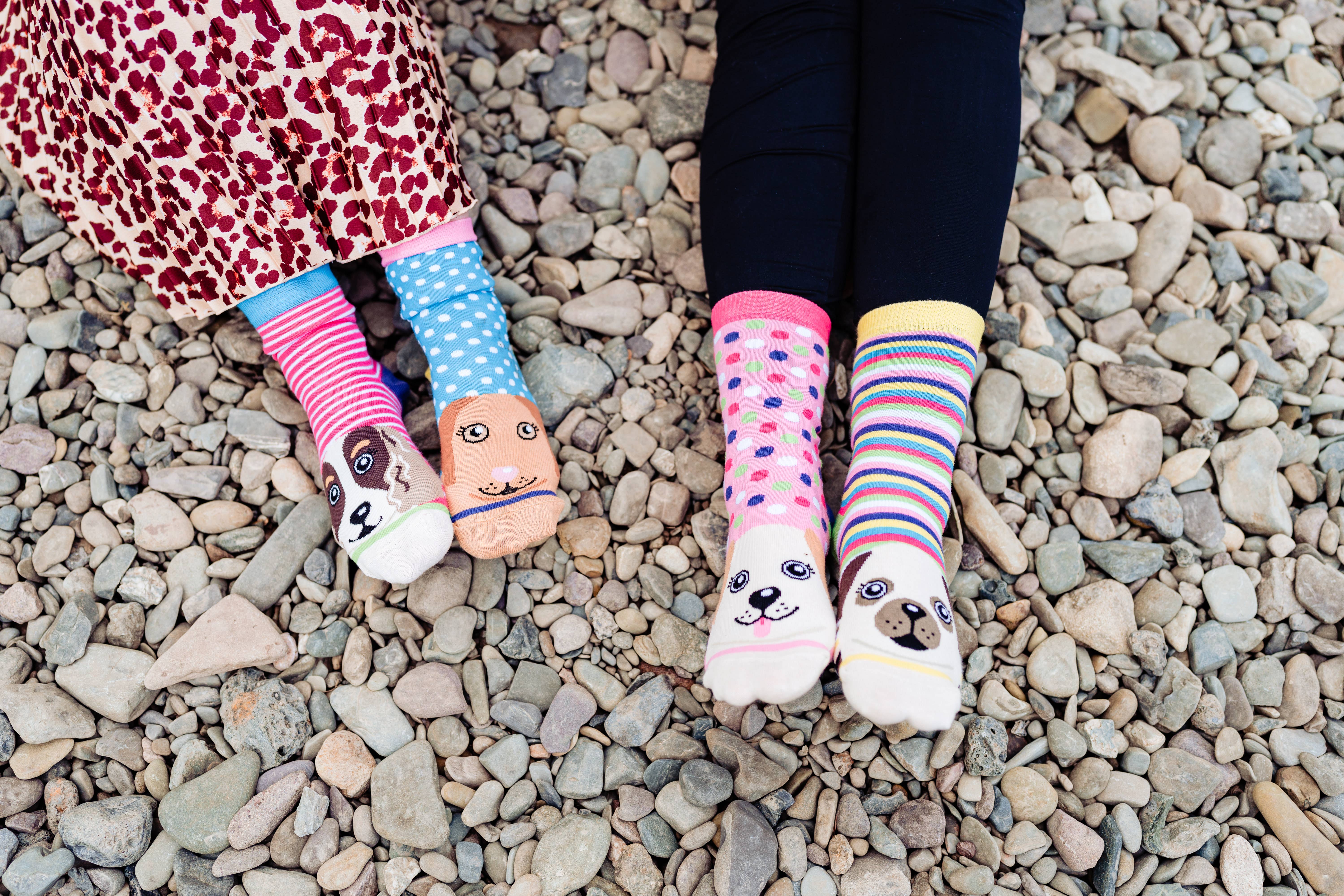 Sock Academy – Großhandel Socken - Unisex – PAWSOME | Geschenkbox mit 6 ungleichen Socken - United Oddsocks6