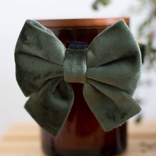 Dogs Sailor Bow Velvet Green for wholesale by Pip and Palms
