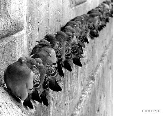 Progetti - Wholesale Wall Clock - Fatti + In There1