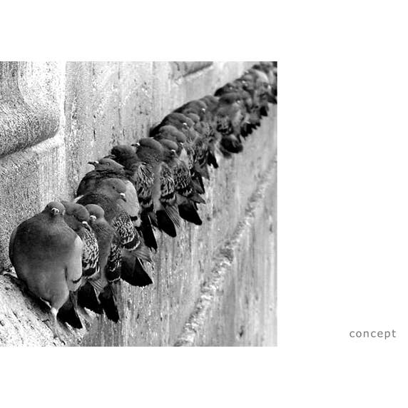 Progetti - Wholesale Wall Clock - Fatti + In There1