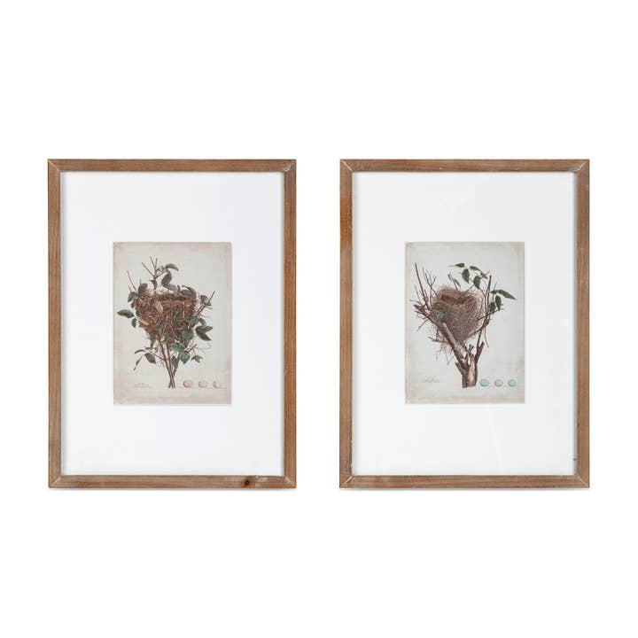 Feathered Nest Framed Print for wholesale by Park Hill Collection
