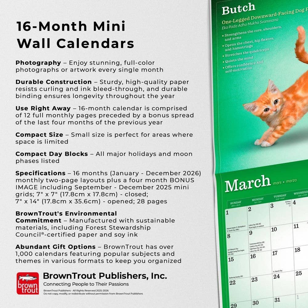 BrownTrout Publishers - Wholesale Calendar - Yoga Kittens OFFICIAL 2026 Monthly Mini Wall Calendar  4