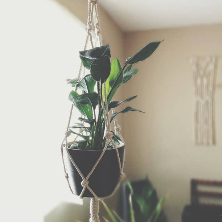 Macrame Plant Hanger, Cotton Hanging Planter for wholesale by Freefille Market