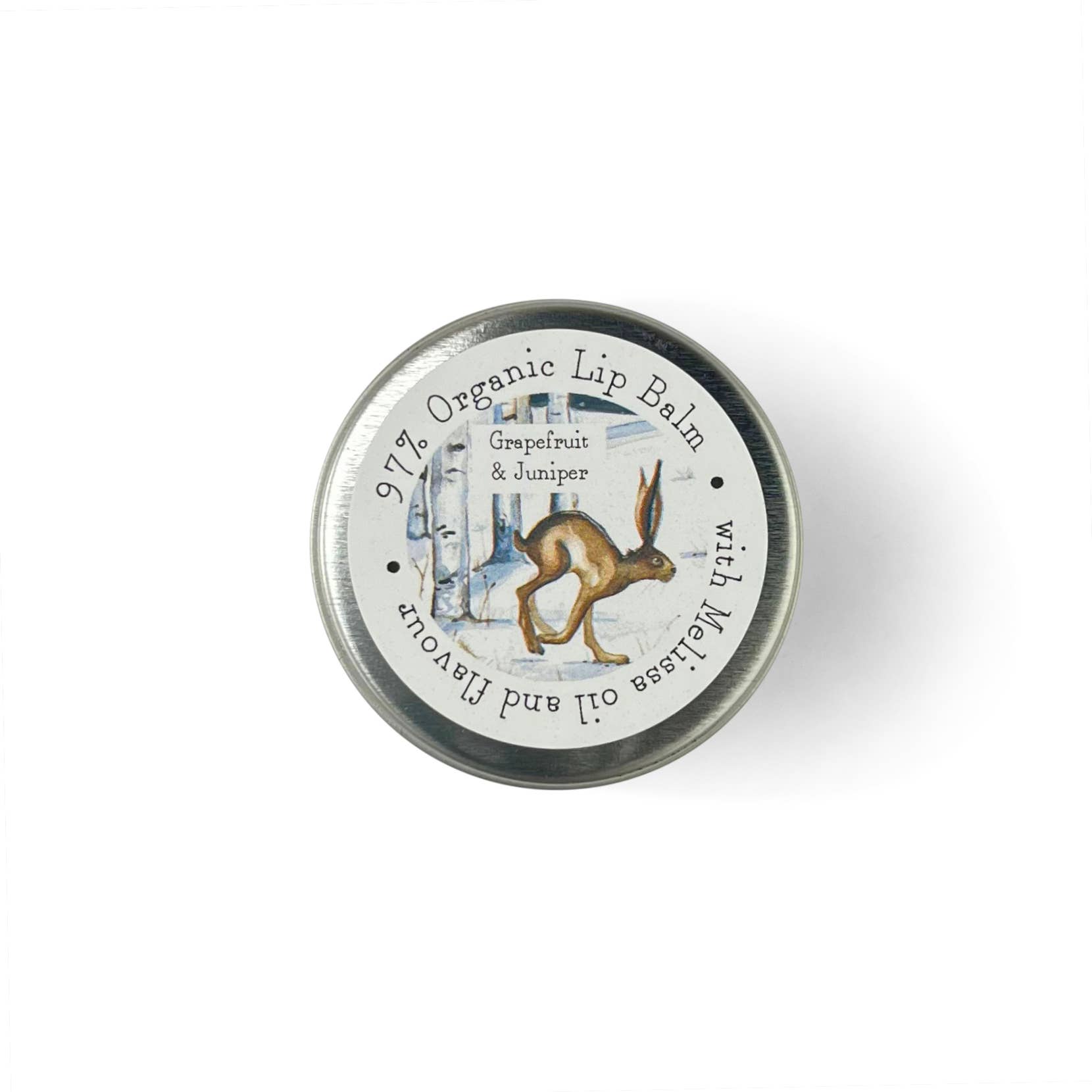 Heaven Scent Incense Ltd – Engroshandel Læbepomadesæt – Læbepomade - Efterår/Vinter Illustreret x 61