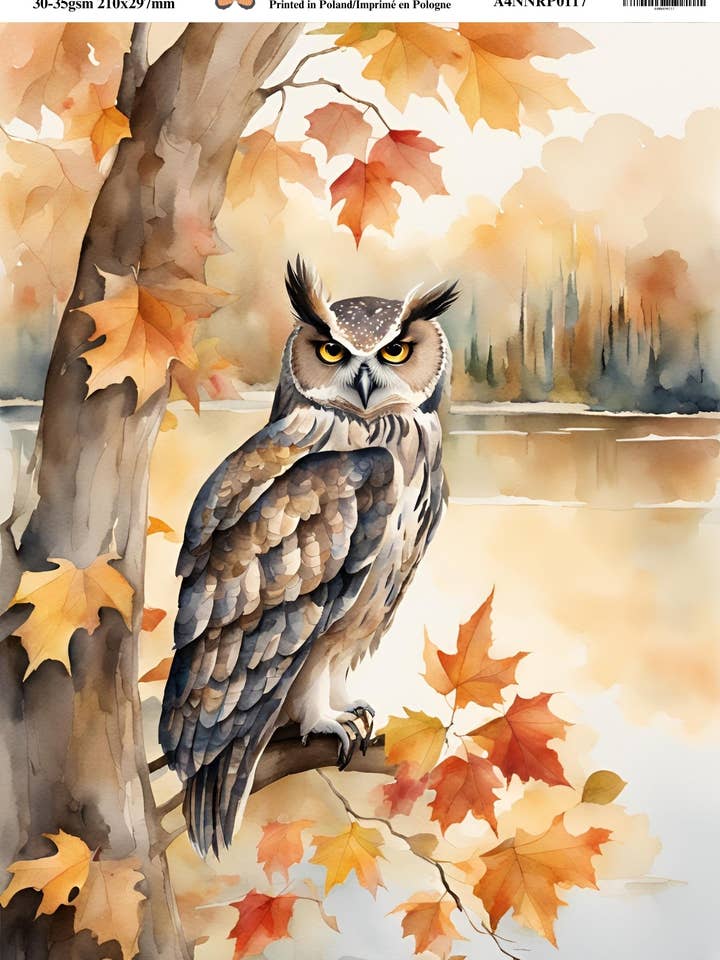 Ninny's Decoupage-Reispapier, Motiv: Herbstirnige Eule für den Großhandel von Ninnys Napkins