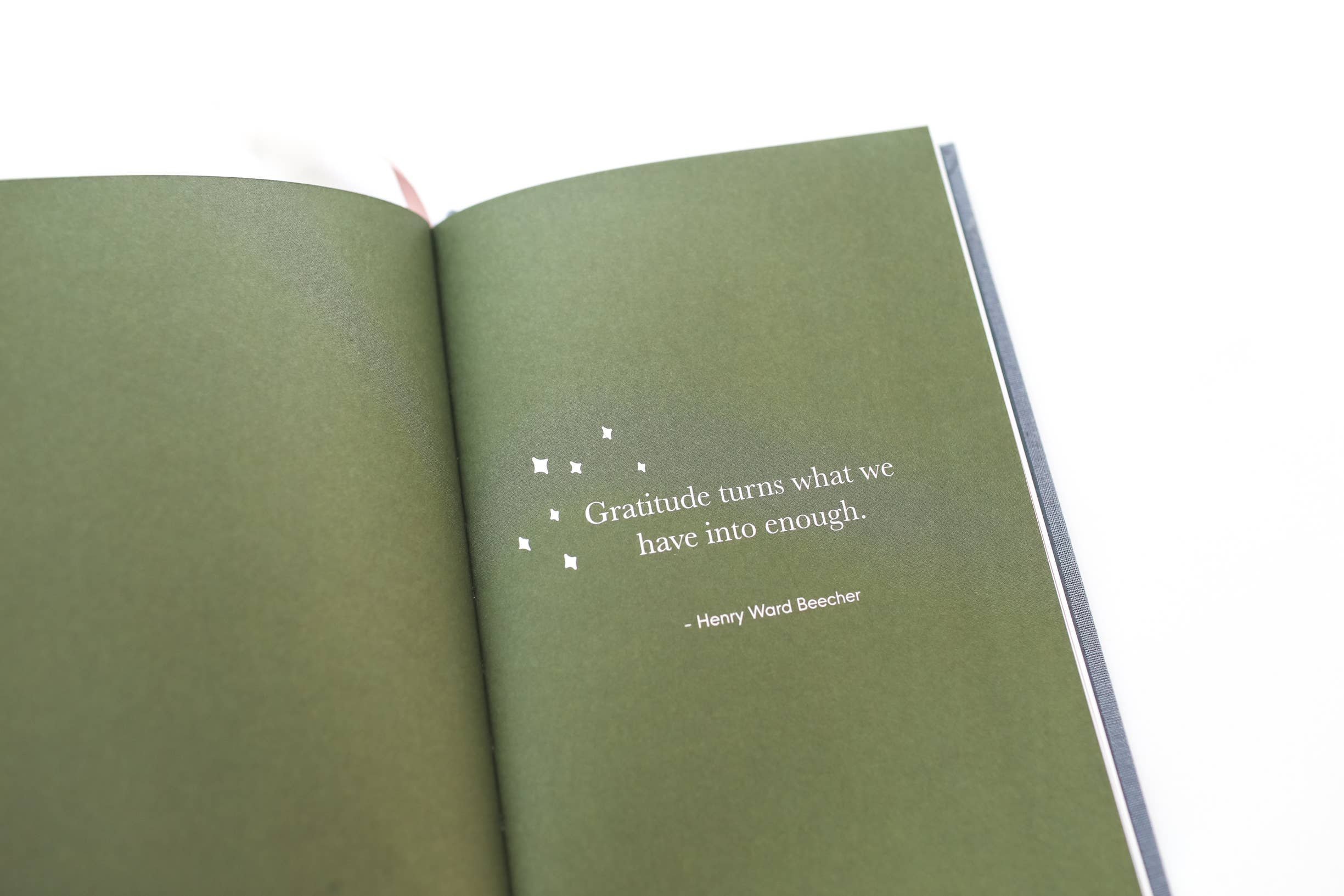 Paper Peony Press - Wholesale Journal/Diary - The Gratitude Journal for Women6