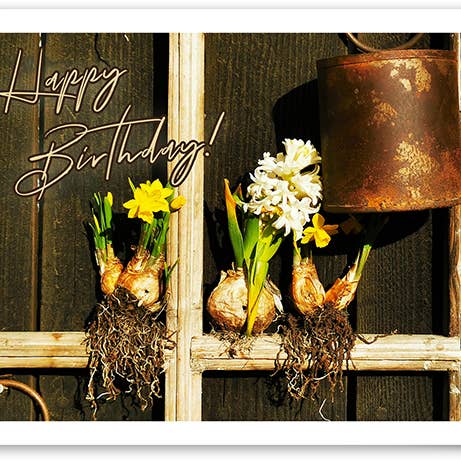 Geburtstag / Grußkarte / 519535 für den Großhandel von Yabué