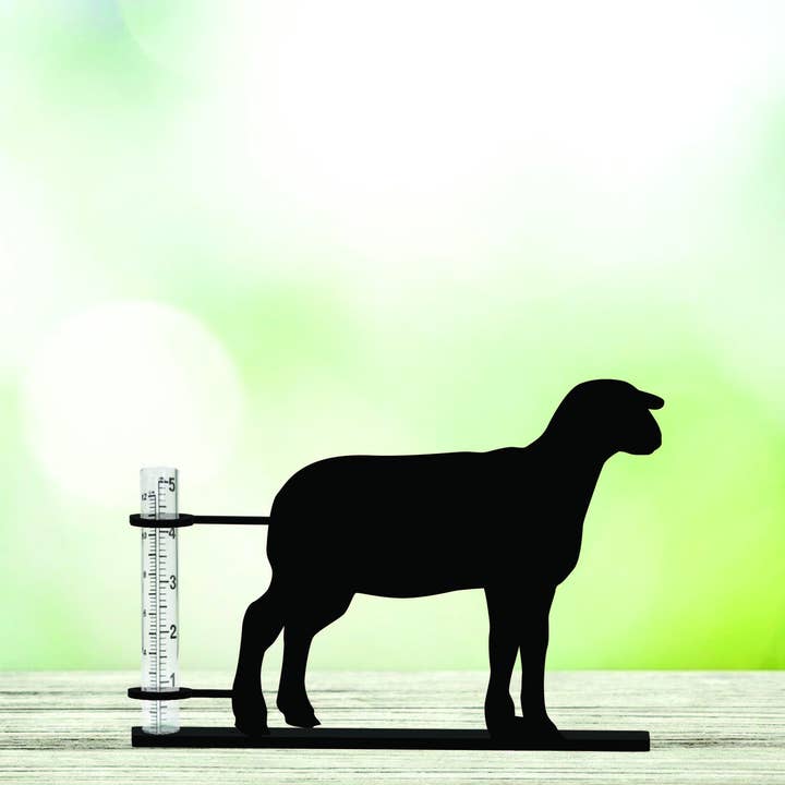 Show Lamb Rain Gauge for wholesale by Steel Grace