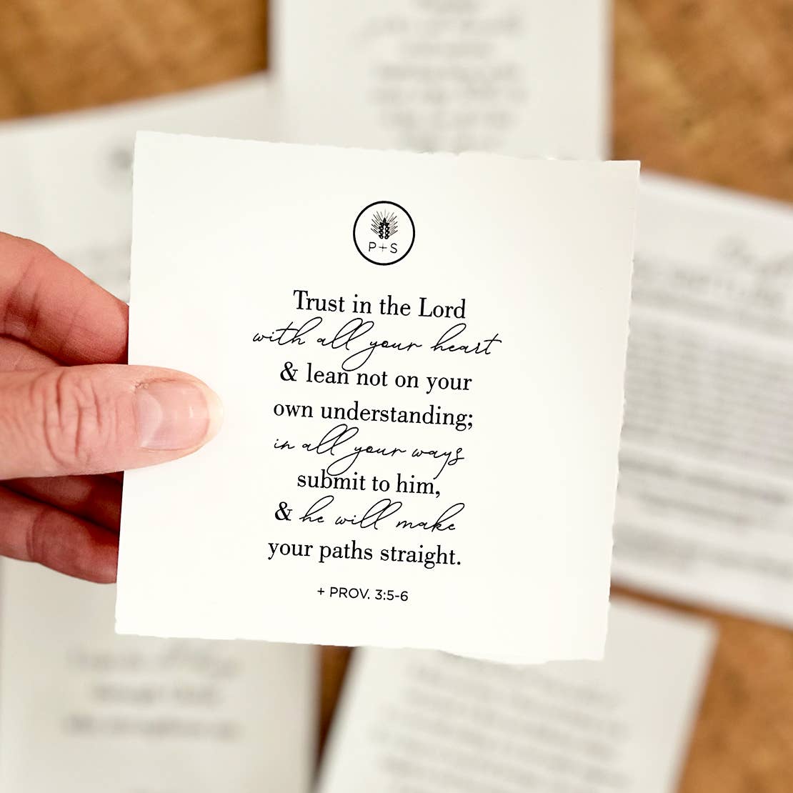 Plains + Simple - Wholesale Sticker - Scripture Pack Window Clings - Trust5