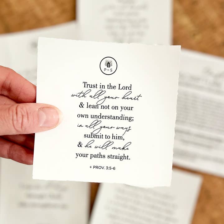 Plains + Simple - Wholesale Sticker - Scripture Pack Window Clings - Trust5