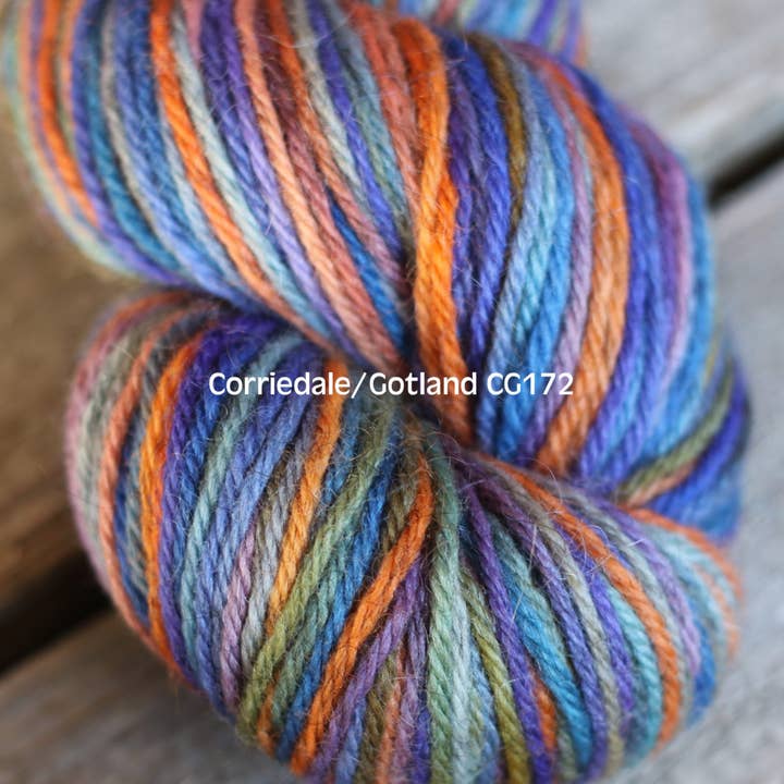 Koigu Wool Designs - Vente Fils à tricoter - Laine worsted Corriedale / Gotland26