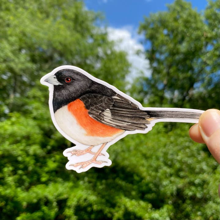 Eastern Towhee vejrbestandigt vinylklistermærke for engroshandel hos Allison Stoiser Art