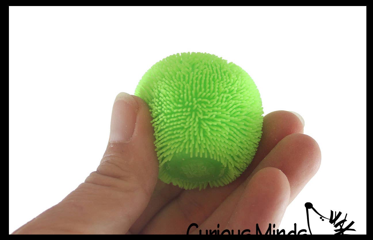 Curious Minds Toys - Wholesale Fidget Toy - Kids - NeeDoh Teenie Fuzzball Soft Doh Filled Stretch Ball - Ultra 6