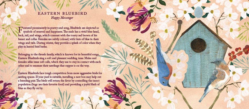 Abrams - Wholesale Display Book - Birds in a Book (UpLifting Editions)2