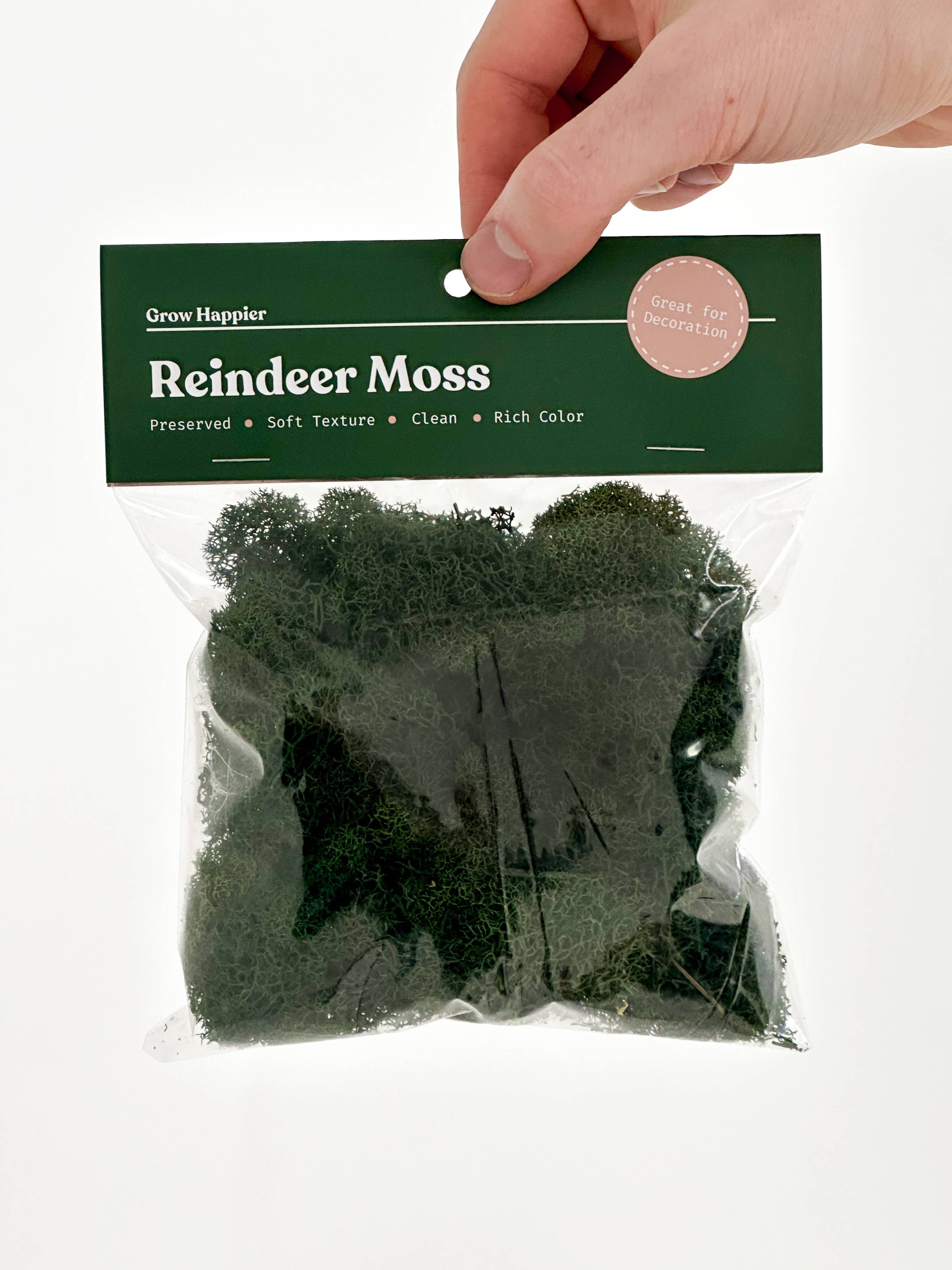 The Plant Supply - Wholesale Planting/Potting Soil - Preserved Reindeer Moss | Moss for Plants and Crafts1