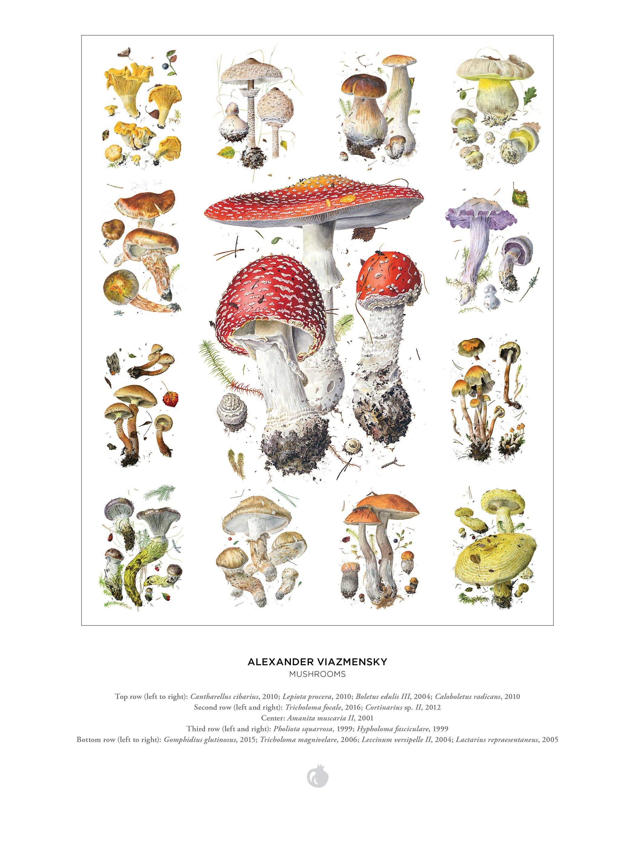 Pomegranate - Wholesale Puzzle - Adult - Mushrooms: Alexander Viazmensky 1000-Piece Jigsaw Puzzle2