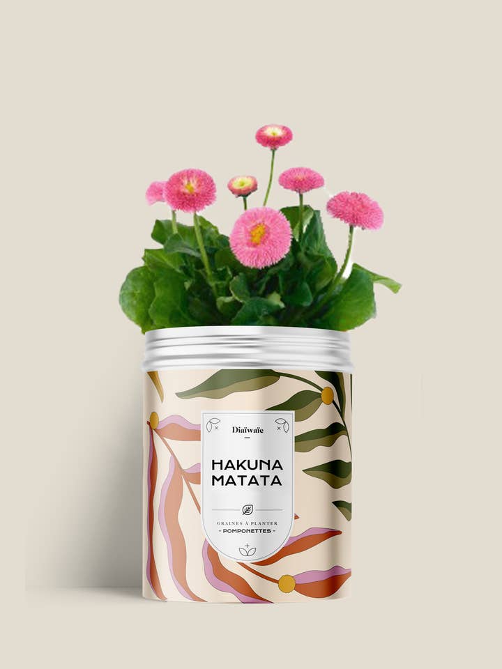 Seed kit - HAKUNA MATATA for wholesale by Diaiwaie