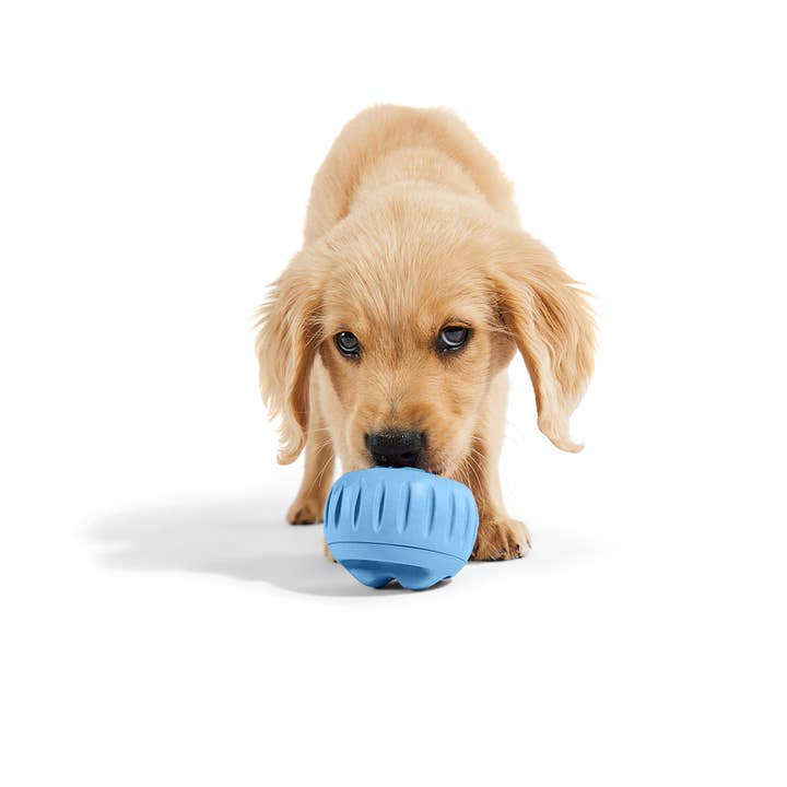 Woof - Wholesale Pet Toy - Dog - The Pupsicle - Wholesale Exclusive Color