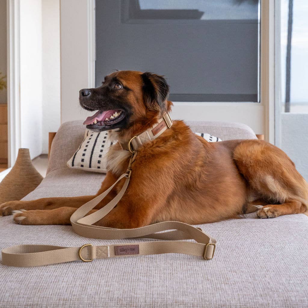 Tilley + Me - Wholesale Pet Leash - Dog - Hemp Cotton Dog Leash - Adjustable & Lightweight24