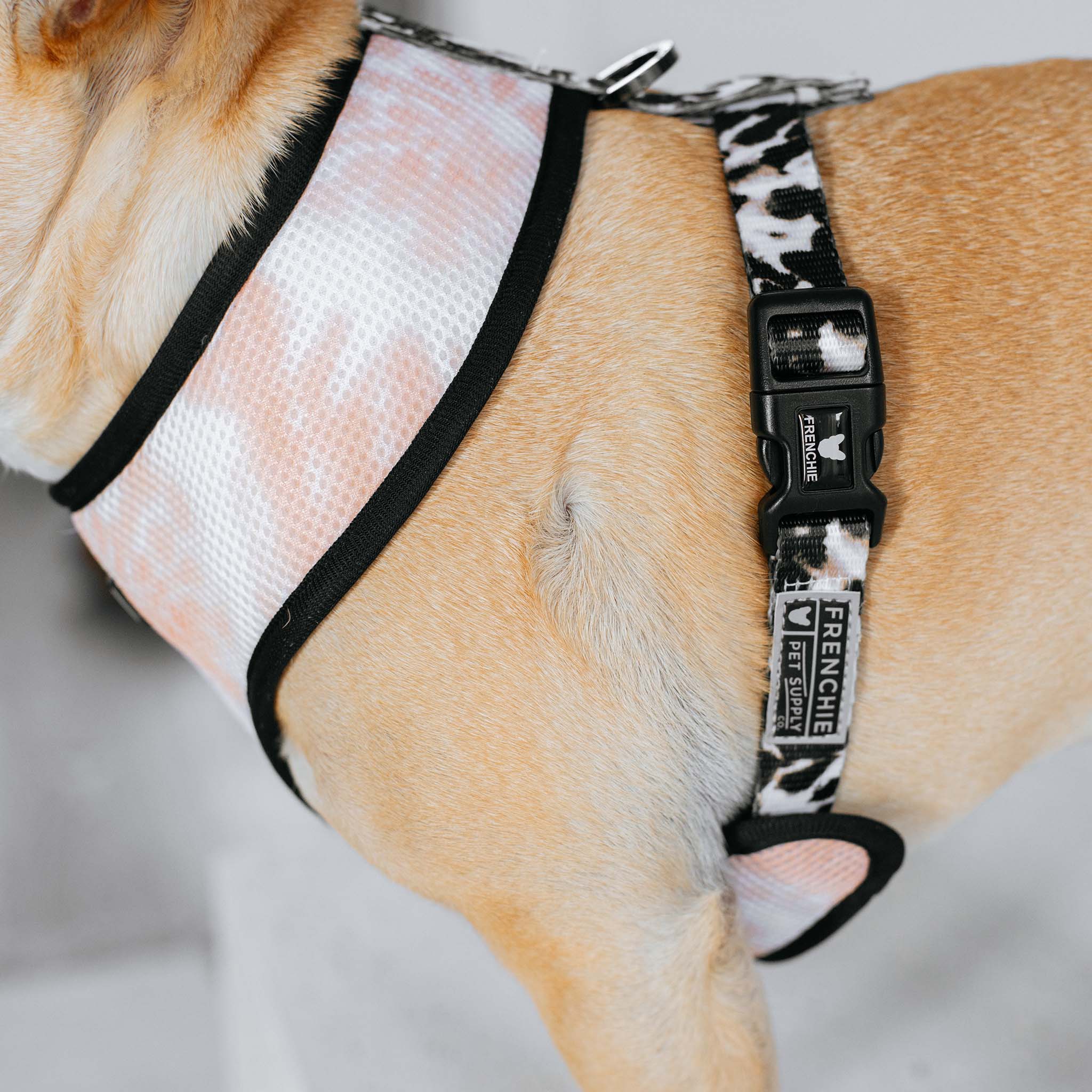 Frenchie – wholesale Pet harness – Dog – Frenchie Duo Reversible Harness - Earthy Tie Dye9
