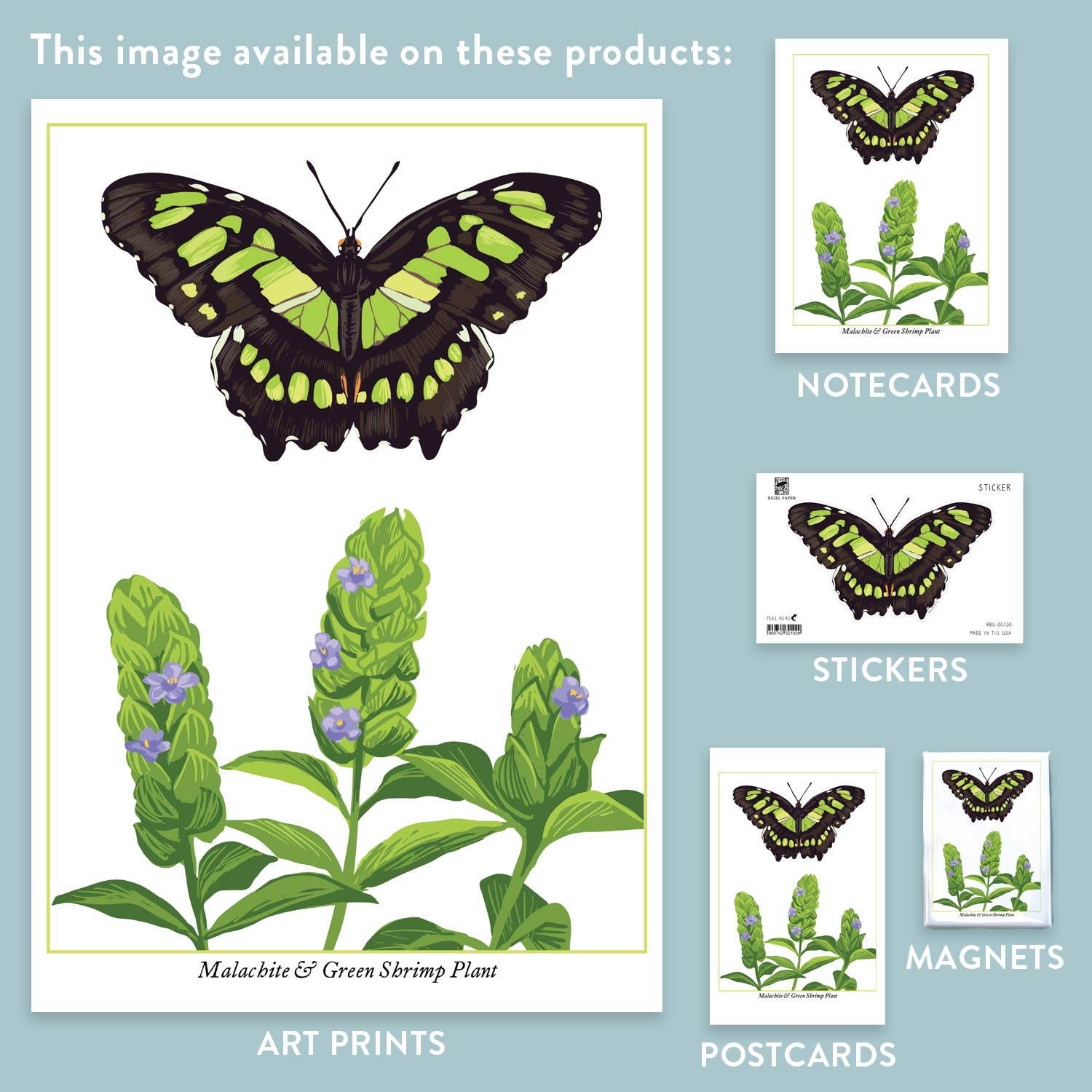Rigel Paper – wholesale Magnet – RBU-730 Malachite Butterfly Magnet2