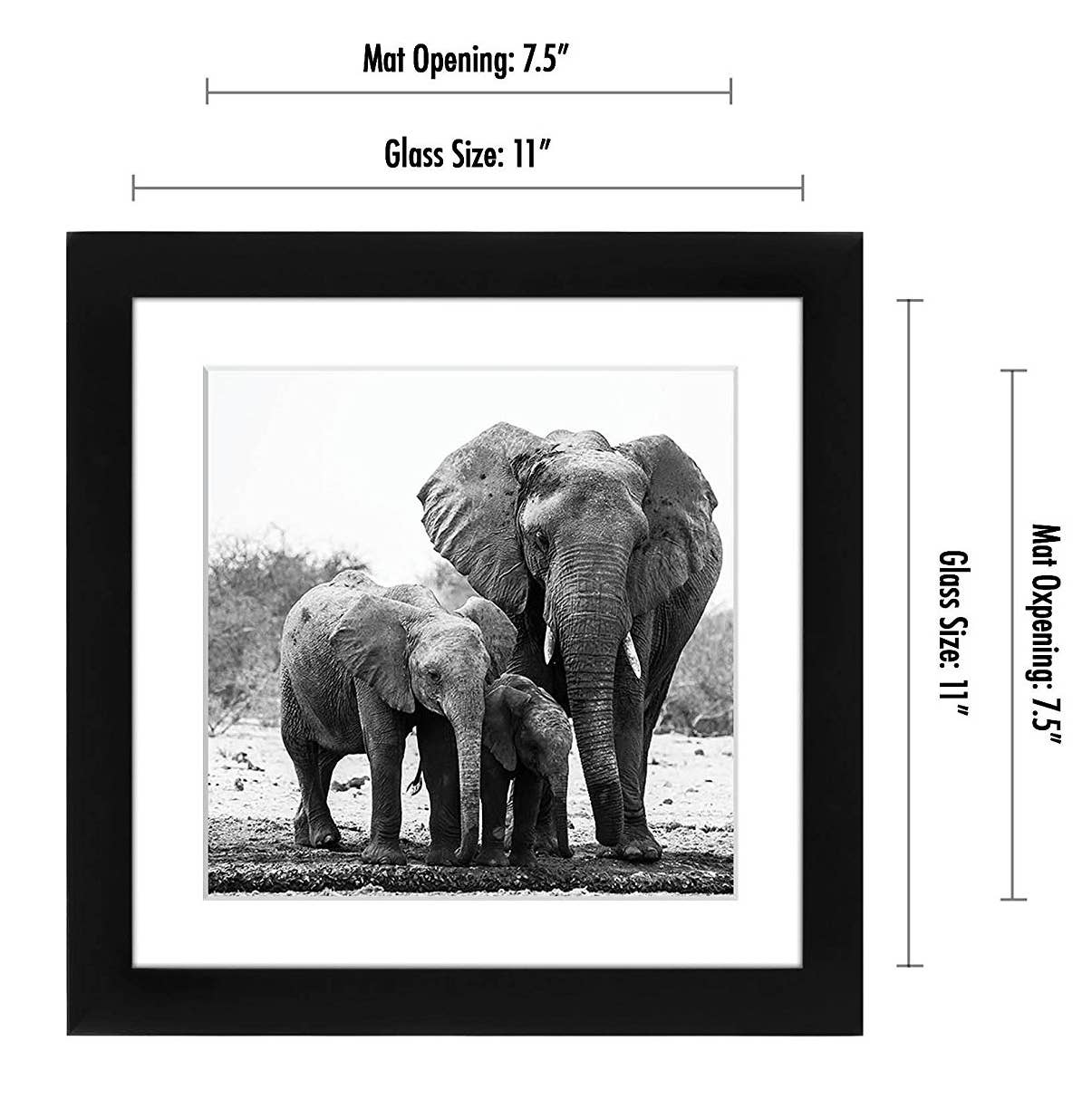 Americanflat - Wholesale Picture Frame - Americanflat Picture Frame with Mat Standard Molding16