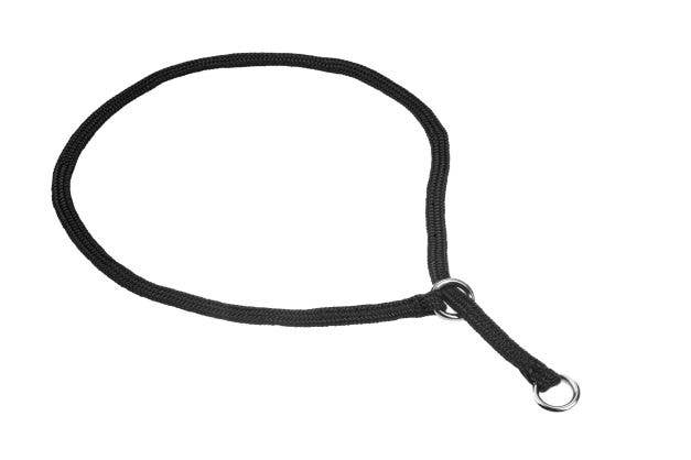 Alvalley – Engroshandel Halsbånd - Hund – Show slip halsbånd0