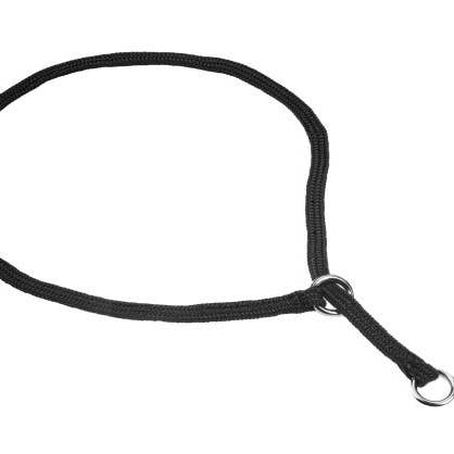 Alvalley – wholesale Halsband - Hund – Alvalley halsband med löpande ögla för utställning