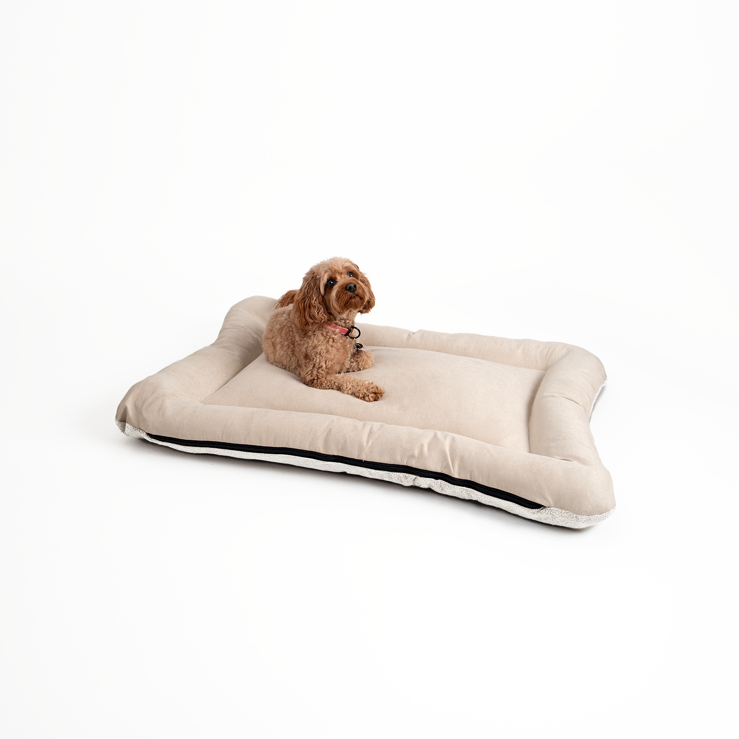 Snoozer Pet Products - Vendita all'ingrosso Letto - Cani - Cuccia per Cani All Day di Snoozer9