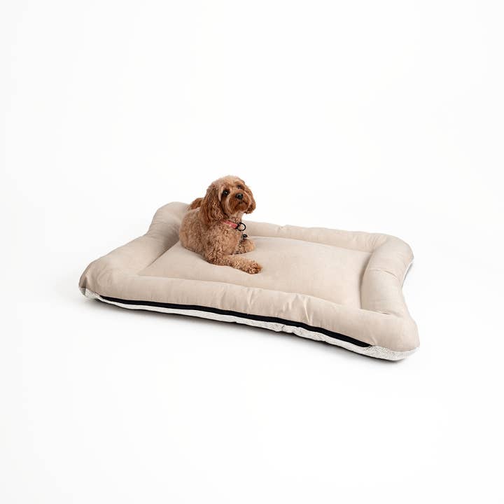 Snoozer Pet Products - Vendita all'ingrosso Letto - Cani - Cuccia per Cani All Day di Snoozer9