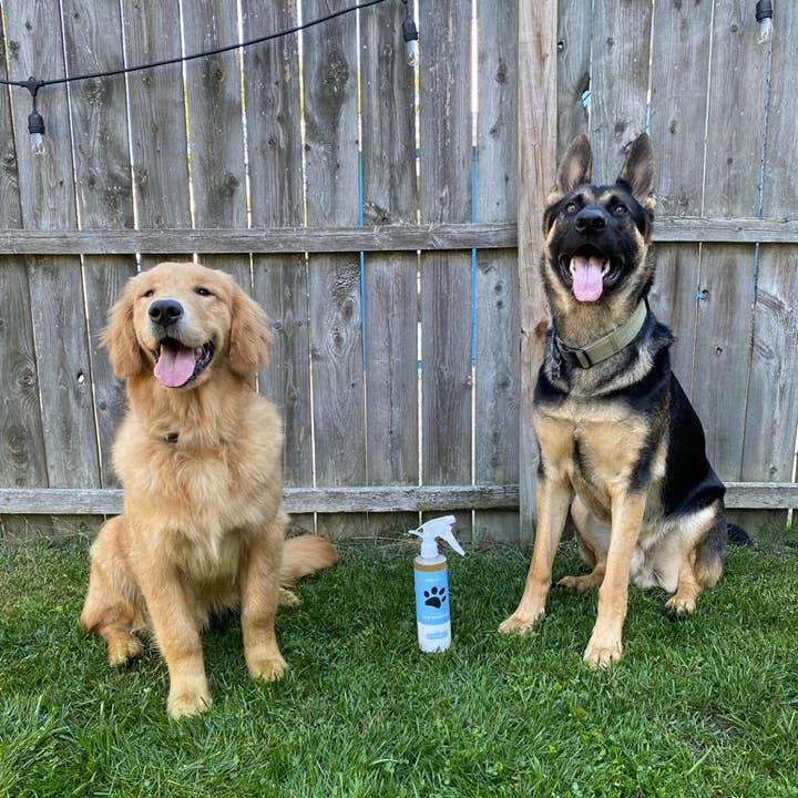 Duke-N-Boots - Wholesale Pet Shampoo - Dog - EasySpray Tearless Pet Shampoo
