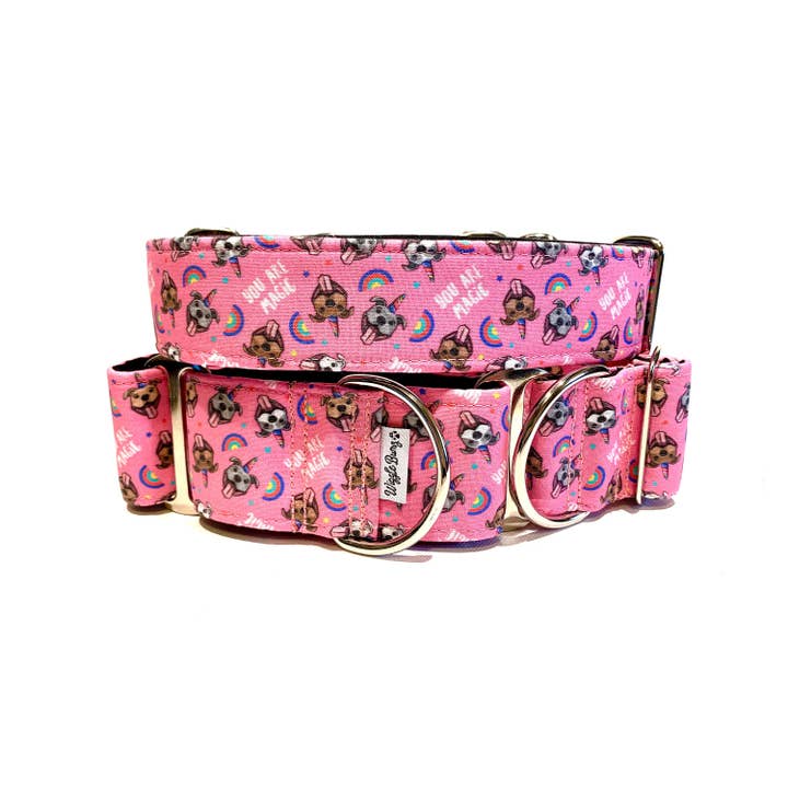 Je Bent Magisch Hondenhalsband voor wholesale door Wiggle Bumz