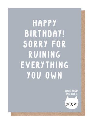 Paper Plane - Wholesale Birthday Card - Sorry For Ruining Everything You Own - Cat Birthday Card1