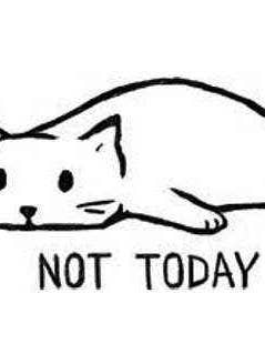 Magnet: Not Today for wholesale by Cedar Witch Goods