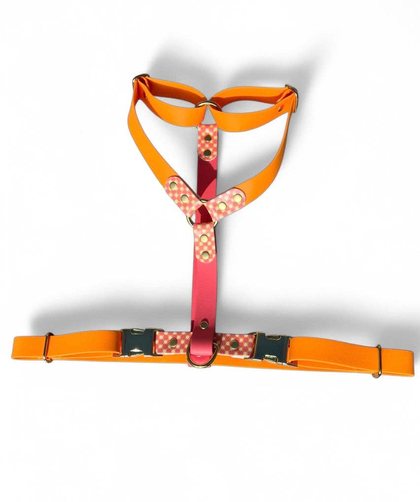 Splash By Happy - Wholesale Pet Collar - Dog - 🌼 Happy Flower 🌼12