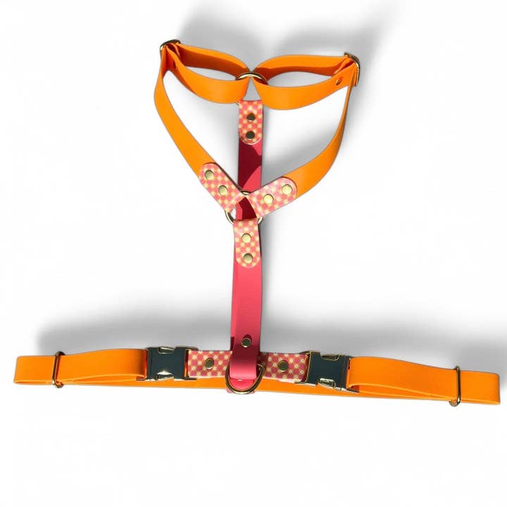 Splash By Happy - Wholesale Pet Collar - Dog - 🌼 Happy Flower 🌼12