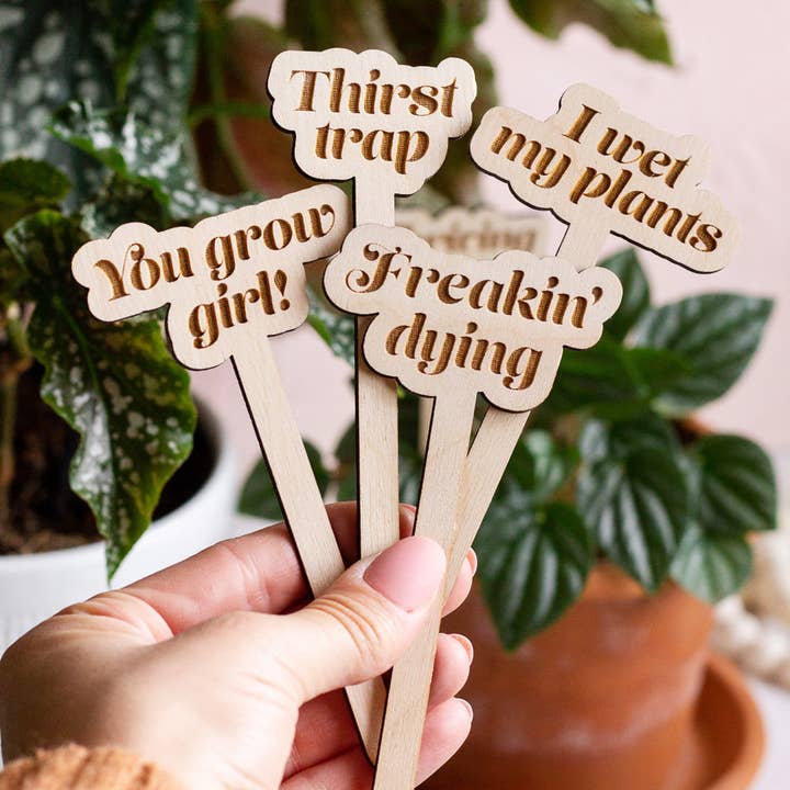 The Print Pantry - Wholesale Garden/Lawn Stake - Funny Wooden Plant Markers