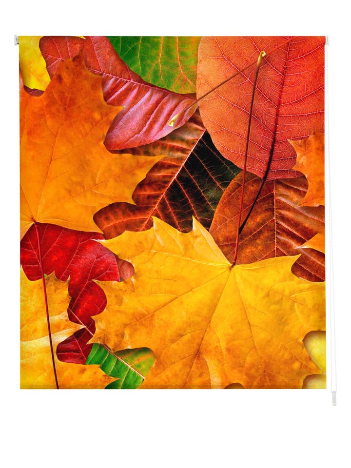 Gennemsigtig blomsterprint rullegardin for engroshandel hos ZEBRA TEXTIL, SL