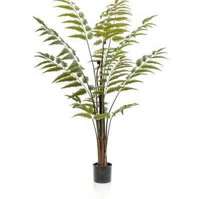 Kunstig plante Rumohra Adiantiformis – Læderbregne – 150 cm – Højkvalitets kunstig bregneplante med naturtro blade – Stedsegrøn dekoplante til stue, kontor & indendørs rum – Vedligeholdelsesfri & holdbar for engroshandel hos Oasis of Life