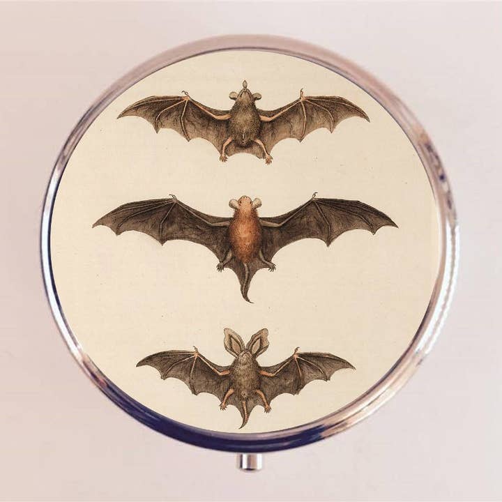 Victorian Bat Pill Box Case Pillbox Holder Trinket Stash Box Goth Gothic Halloween Bats for wholesale by FringePop