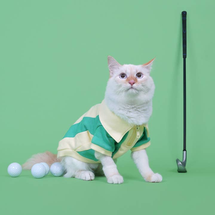 Sunbean - Wholesale Pet Sweater - Dog - Ziggy Cotton Dog Quarter-Zip Pullover16