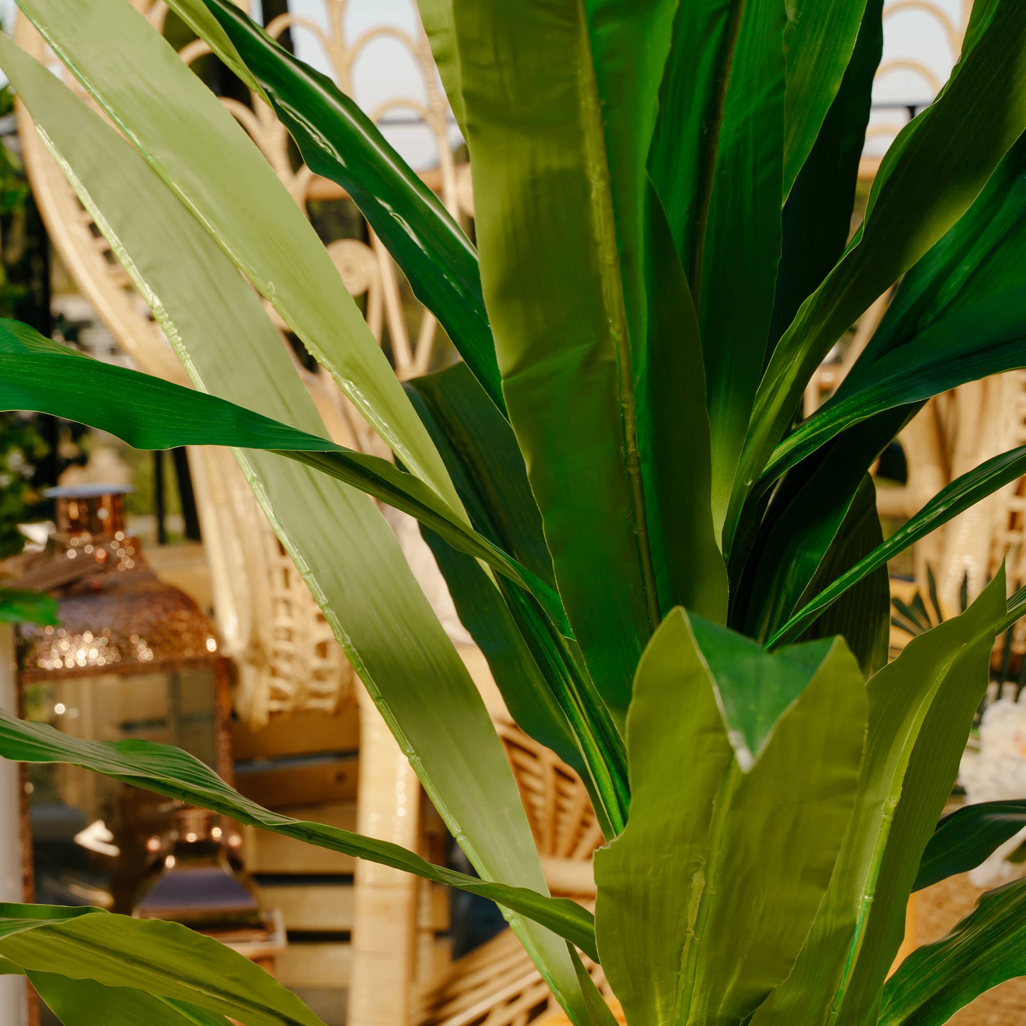 Portofino International Trading, USA - Wholesale Artificial Plant - Artificial Potted Dracaena Fragrans Plant4