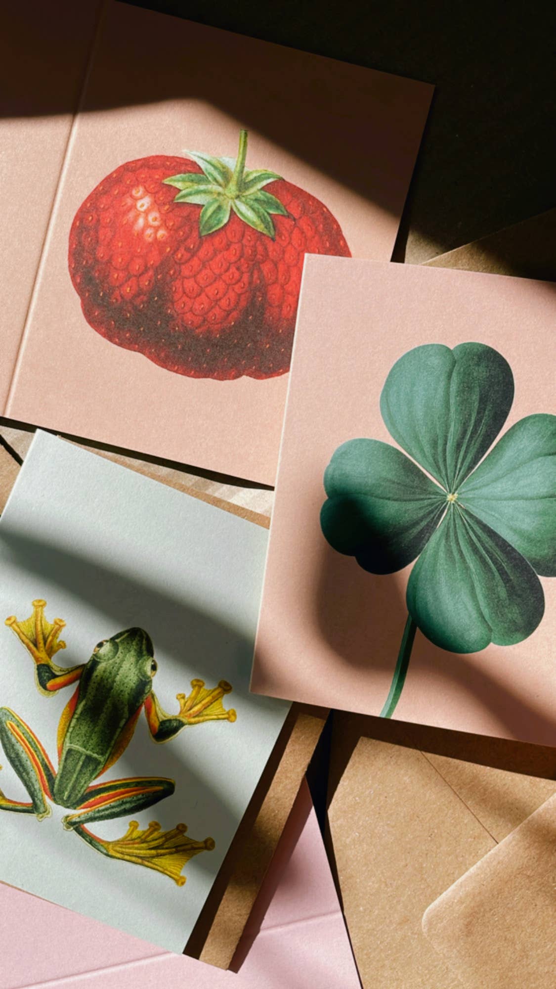 30x40 - Wholesale Everyday Greeting Card - Paul [clover] Mini Card3