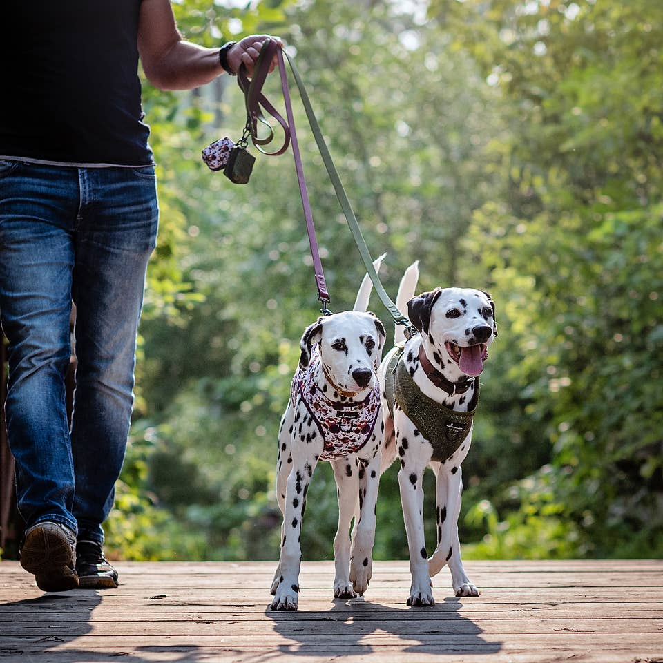 Cavology - Wholesale Pet Harness - Dog - Dog Vest Step-In Harness – Tea Rose Purple Plum Florals1