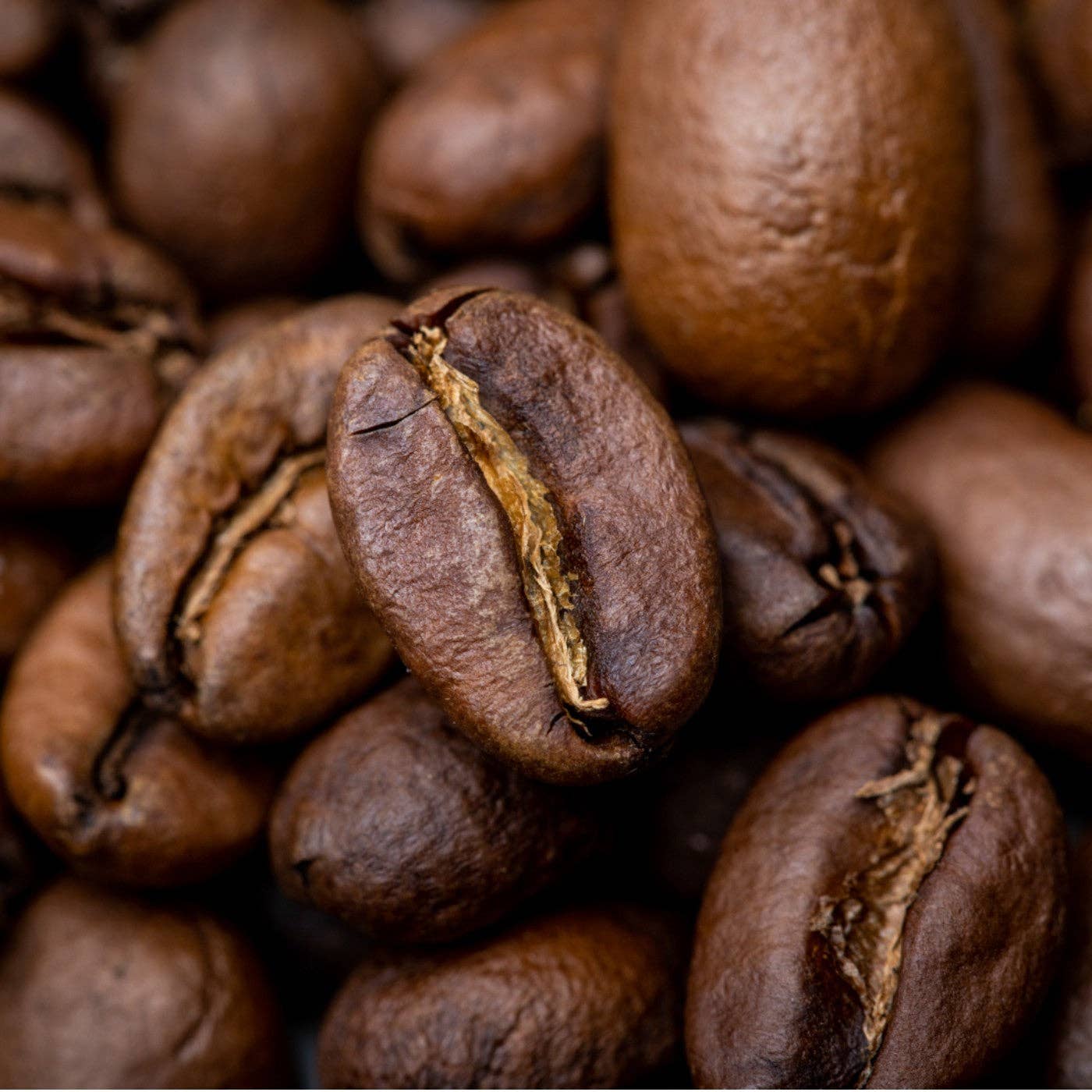 The Smoking Tiger - Wholesale Coffee Beans - Ethiopia (Yirgacheffe) - Kochere Boji Grade 1 Washed2