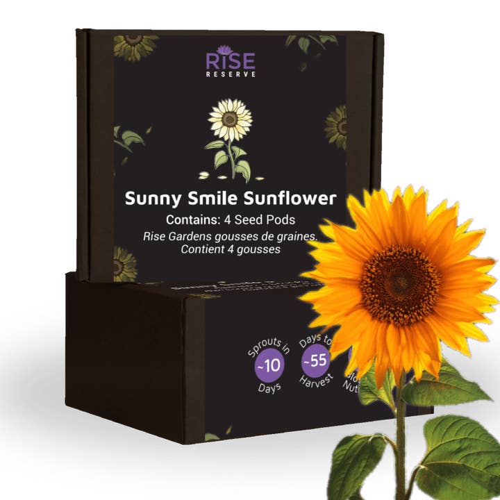 Rise Gardens - Wholesale Plant Seeds - Sunny Smile Sunflower1