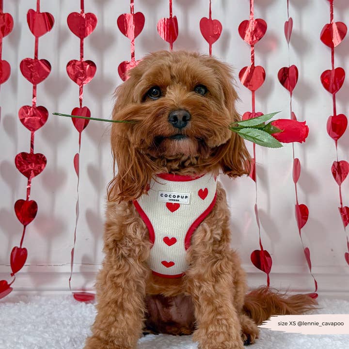 Cocopup London - Wholesale Pet harness – Dog - Hugs & Knitted Adjustable Neck Harness22