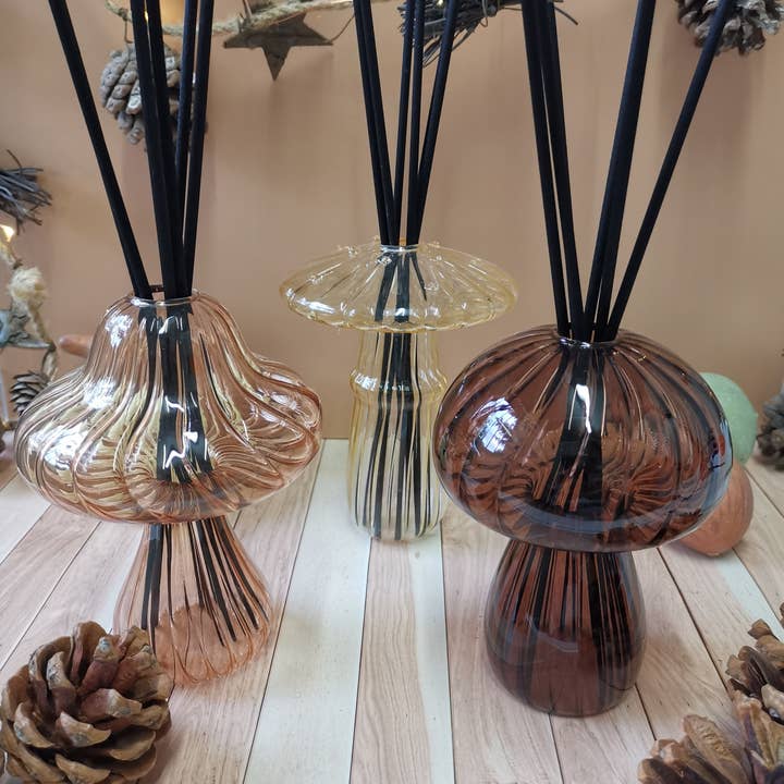 Biotandem - Wholesale Reed Diffuser - Glass Reed Diffuser 100ML5