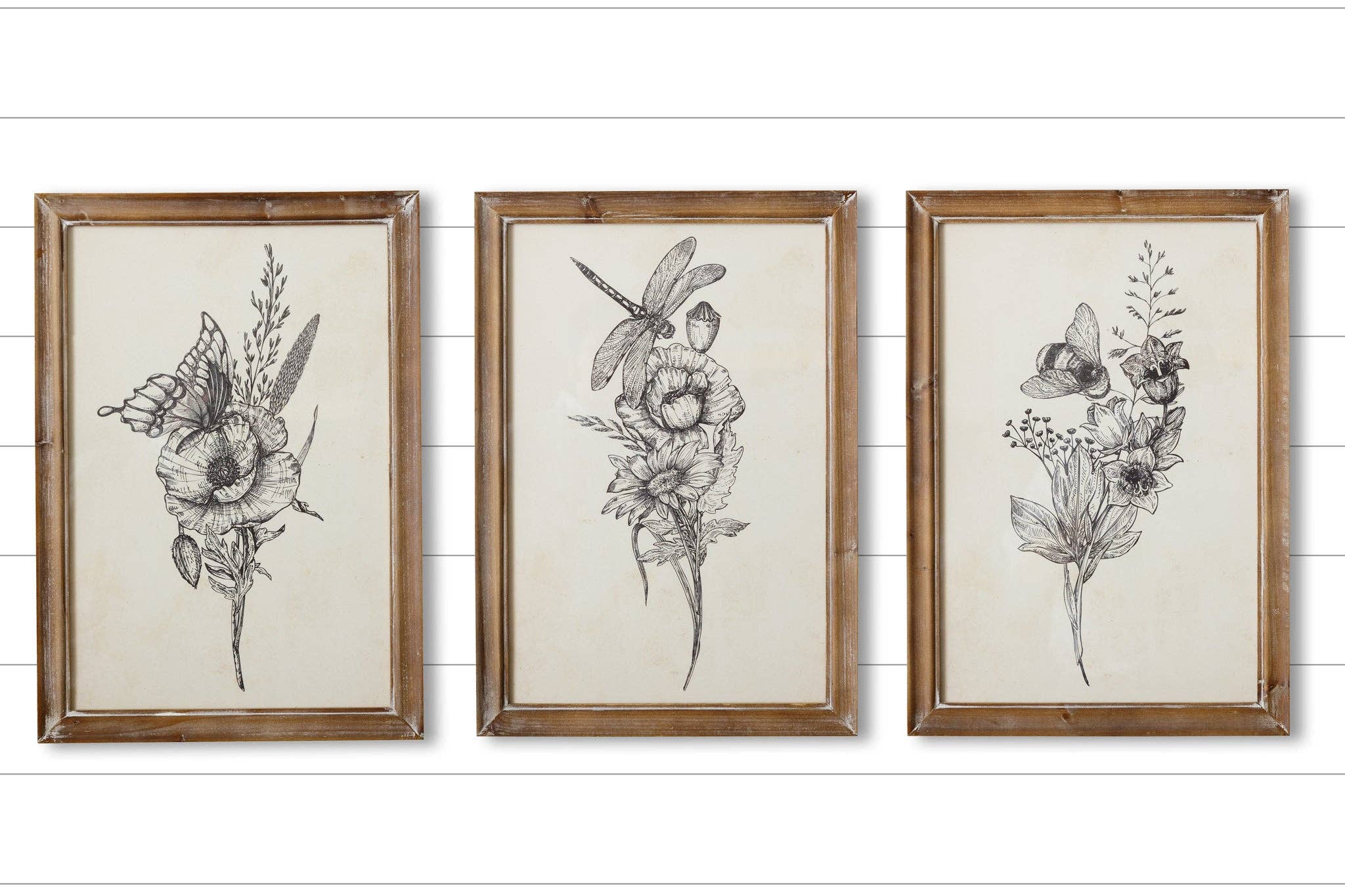 Wholesale Framed Prints Botanicals With Insects (PK/3 AST) for your